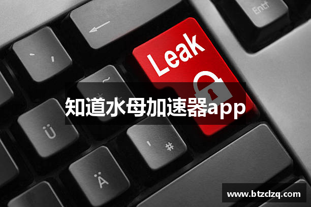 知道水母加速器app